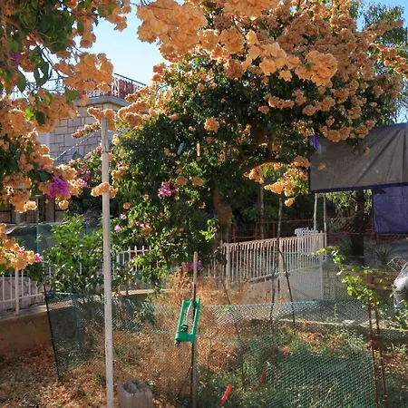 Seaside House Brna, Korcula - 9235 Prázdninový dům Smokvica (Korcula)