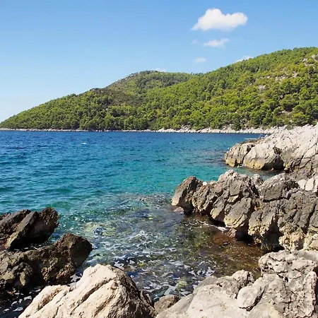 Seaside House Brna, Korcula - 9235 Holiday home Smokvica (Korcula)