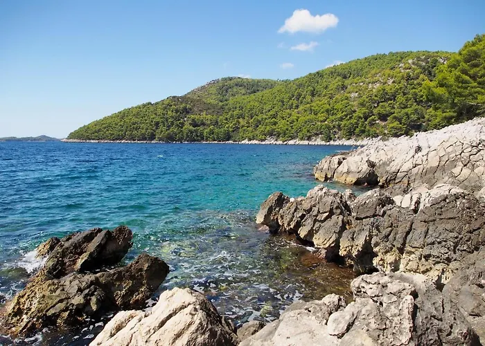 Seaside House Brna, Korcula - 9235 別荘 Smokvica